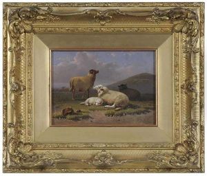 Sheep Sheep
