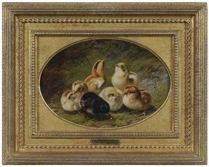 A Brood Of Chicks
