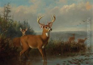 Deer At Water's Edge by Arthur Fitzwilliam Tait