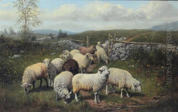 Changing Pasture - view 1