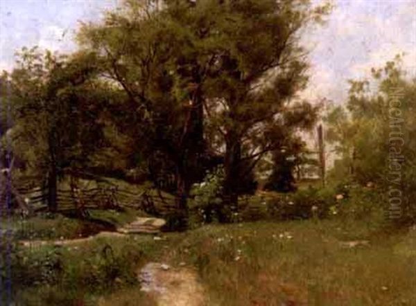 Summer Landscape With Fence - view 1
