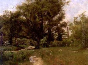 Summer Landscape With Fence