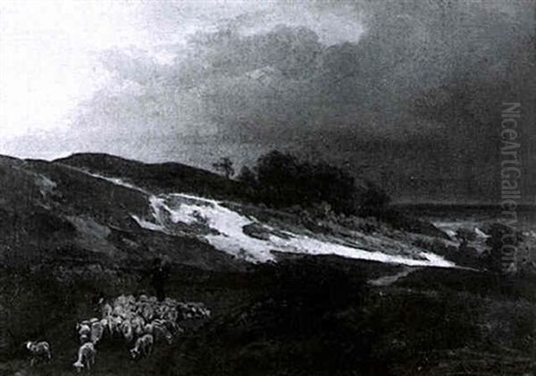 The Flock Return Home - view 1
