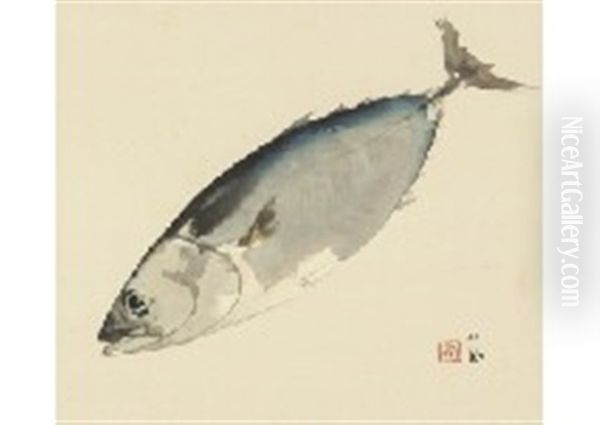 Bonito Fish - view 1