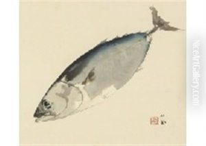 Bonito Fish