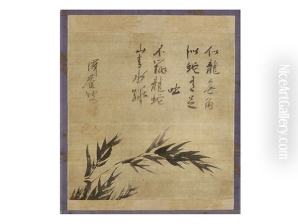 Bamboo - view 1