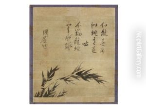 Bamboo by Shuho Takuan