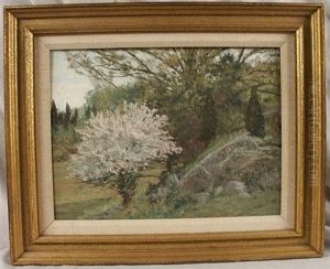 Flowering Tree by Allen Butler Talcott