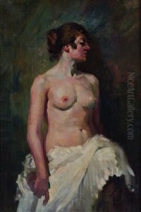Nudo Nudo