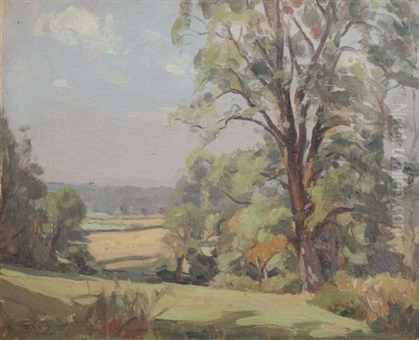 Early Morning, Dedham Valley - view 1