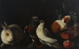 Still Life With A Rabbit, Two Turtle Doves, A Guinea Pig, Pomegranate Etc by Franz Werner von Tamm