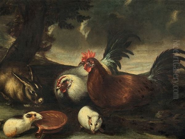 Fowl And Other Small Animals - view 1