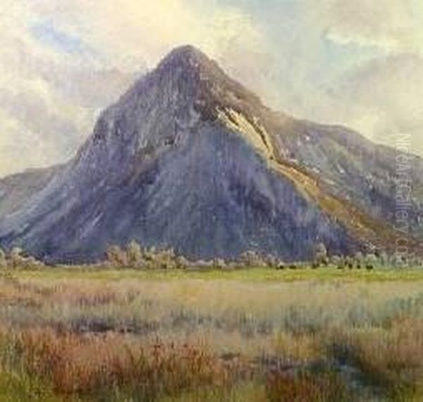 Bird Rock - view 1