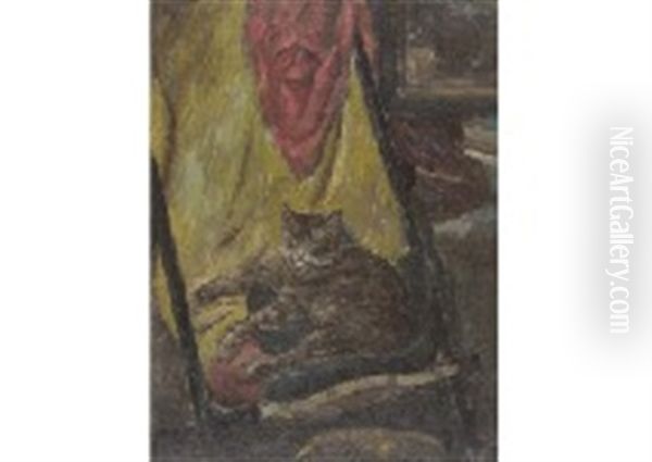Cat - view 1