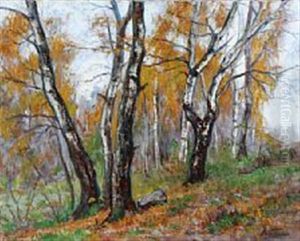 Forest With Birch Trees