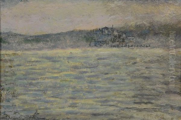Shore Landscape With Building And Dock - view 1