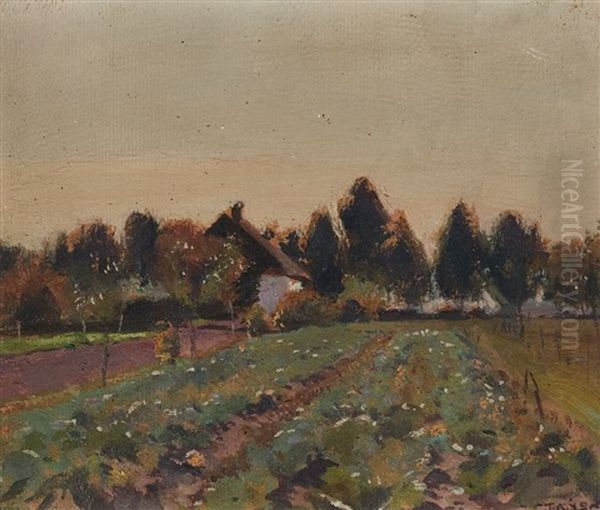 Pejzaz Polem Kapusty - view 1