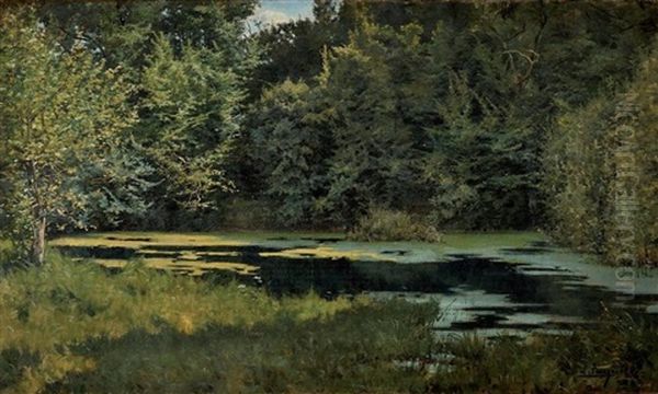 La Mare En Foret - view 1