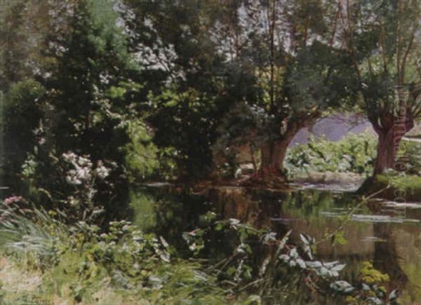 Calm Waters - view 1