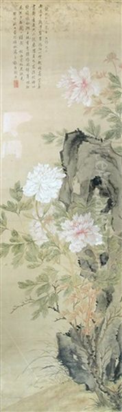 Pink And White Peony Blooms By A Rock - view 1