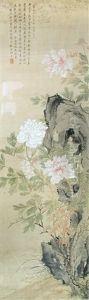 Pink And White Peony Blooms By A Rock Pink And White Peony Blooms By A Rock
