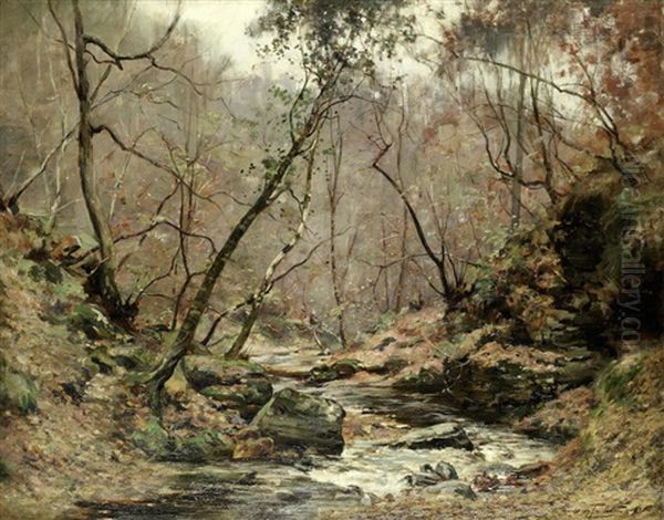 A Woodland Burn - view 1