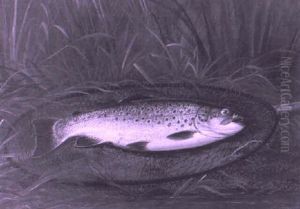 Trout In Landing Net by Thomas G. Targett