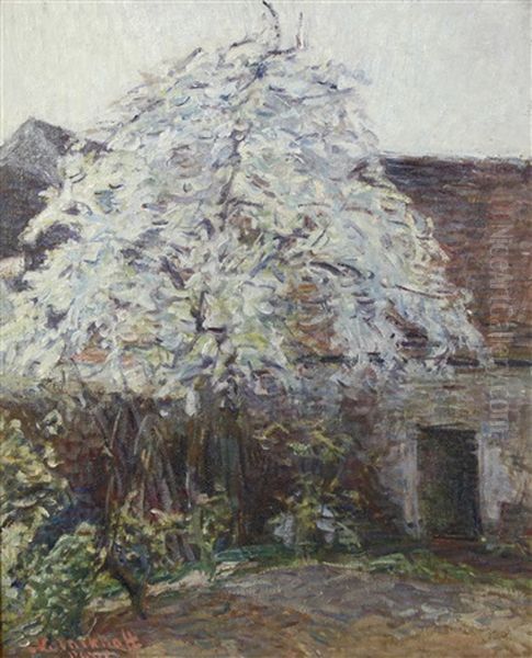 Courtyard In The Early Spring - view 1