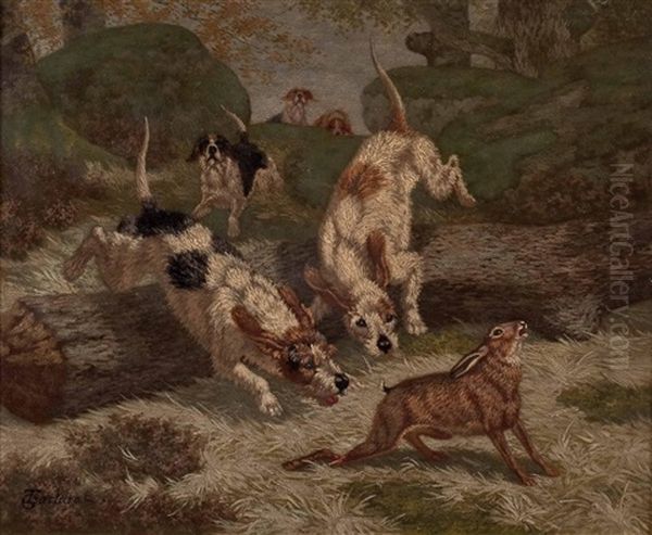Jagdhunde Hetzen Einen Hasen - view 1
