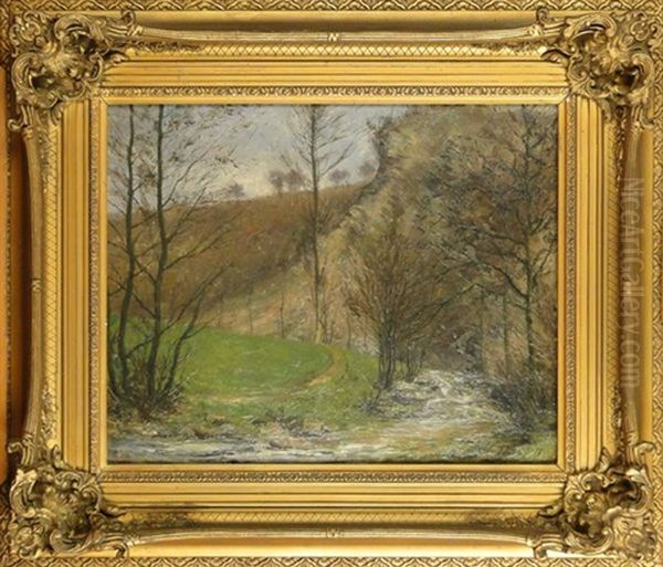 Cours D'eau Dans Les Bois - view 1