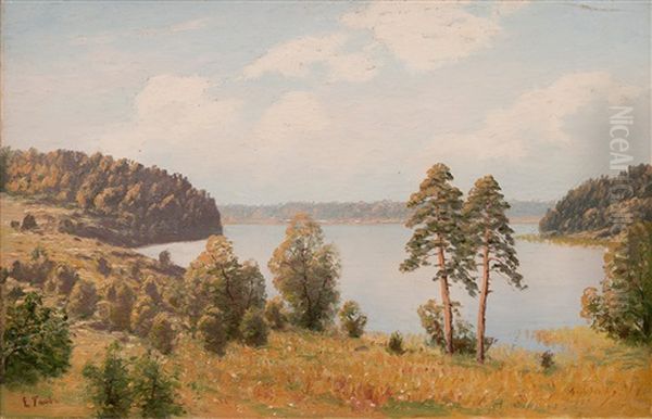Motif From Saimaa Lake - view 1