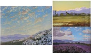 Veduta Collinare, Fioritura D'erica E Campagna Vercellese (3 Works) Veduta Collinare, Fioritura D'erica E Campagna Vercellese (3 Works)