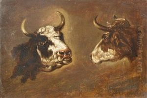Twee Stierenhoofden by Johannes Tavenraat