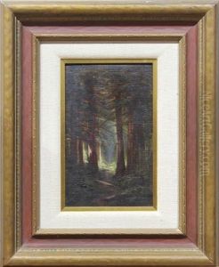 Redwood Scene I
