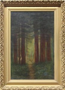 Redwood Scene Ii