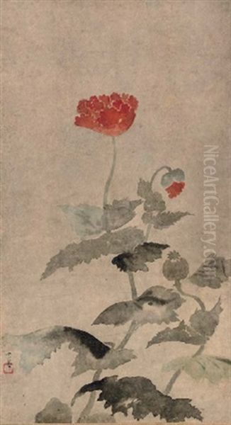 Poppies - view 1