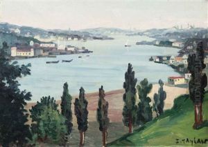 Istanbul by Sururi Taylan