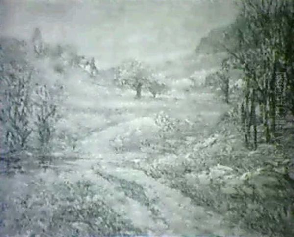 Summer Landscape - view 1