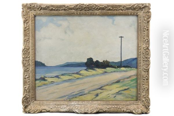 The Shore Road - view 1