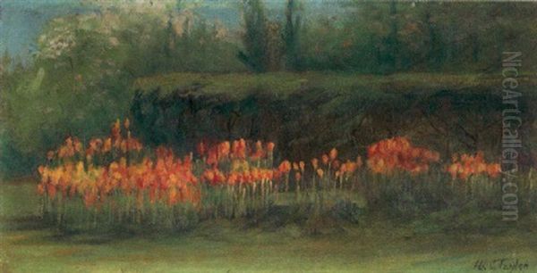 Tulips - view 1