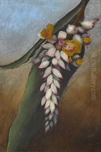 Shell Ginger, Hawaii by Persis Goodale Thurston Taylor