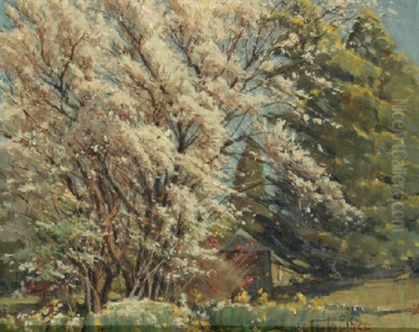 Spring Blossom - view 1