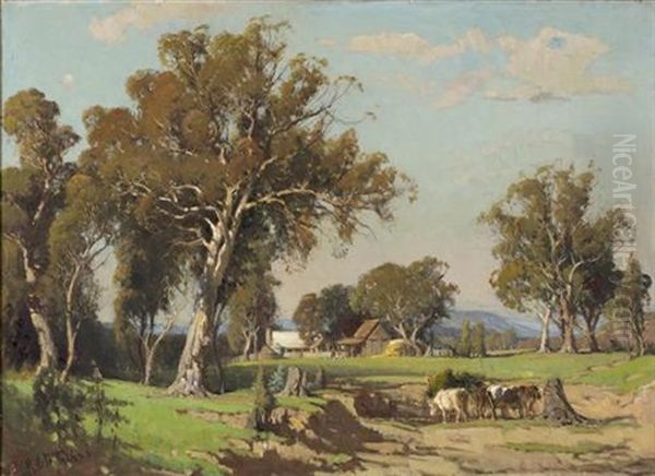 Country Homestead, Victoria - view 1
