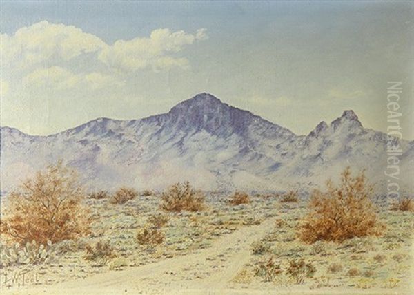 Purple Mountain Desert Vista - view 1