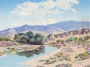 Verbena Hillside, Van Horn Creek, Texas