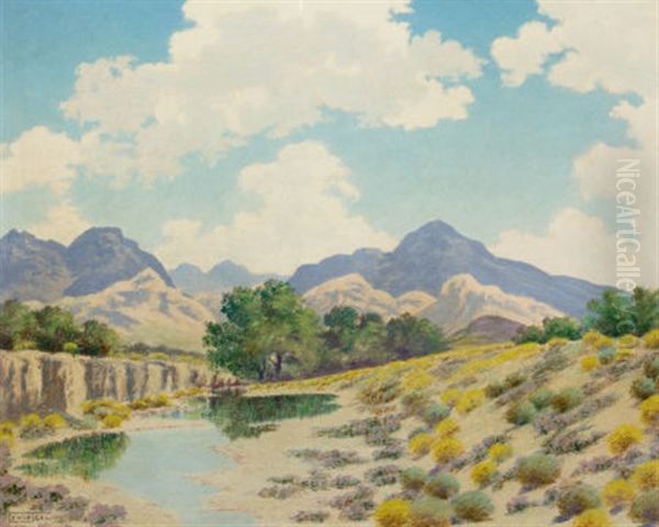 On Cibolo Creek - view 1