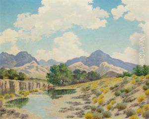 On Cibolo Creek