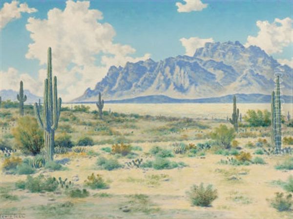 Desert Landscape - view 1