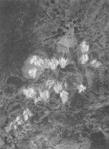 Zyklamen Am Waldboden by Karl Teibler