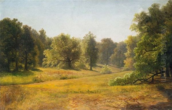 Park - view 1